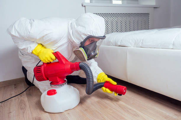Best Local Pest Control Services  in Virden, IL