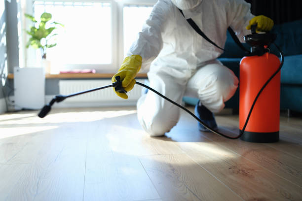 Flea Control Services in Virden, IL