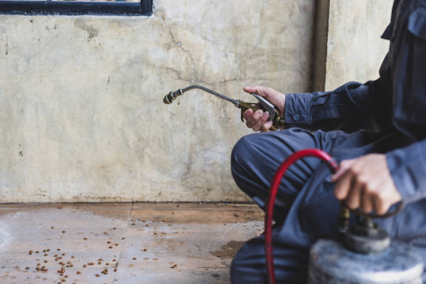 Best Pest Control for Businesses  in Virden, IL